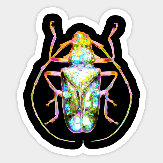 Marble Stone Beetle Sticker by crunchysqueak